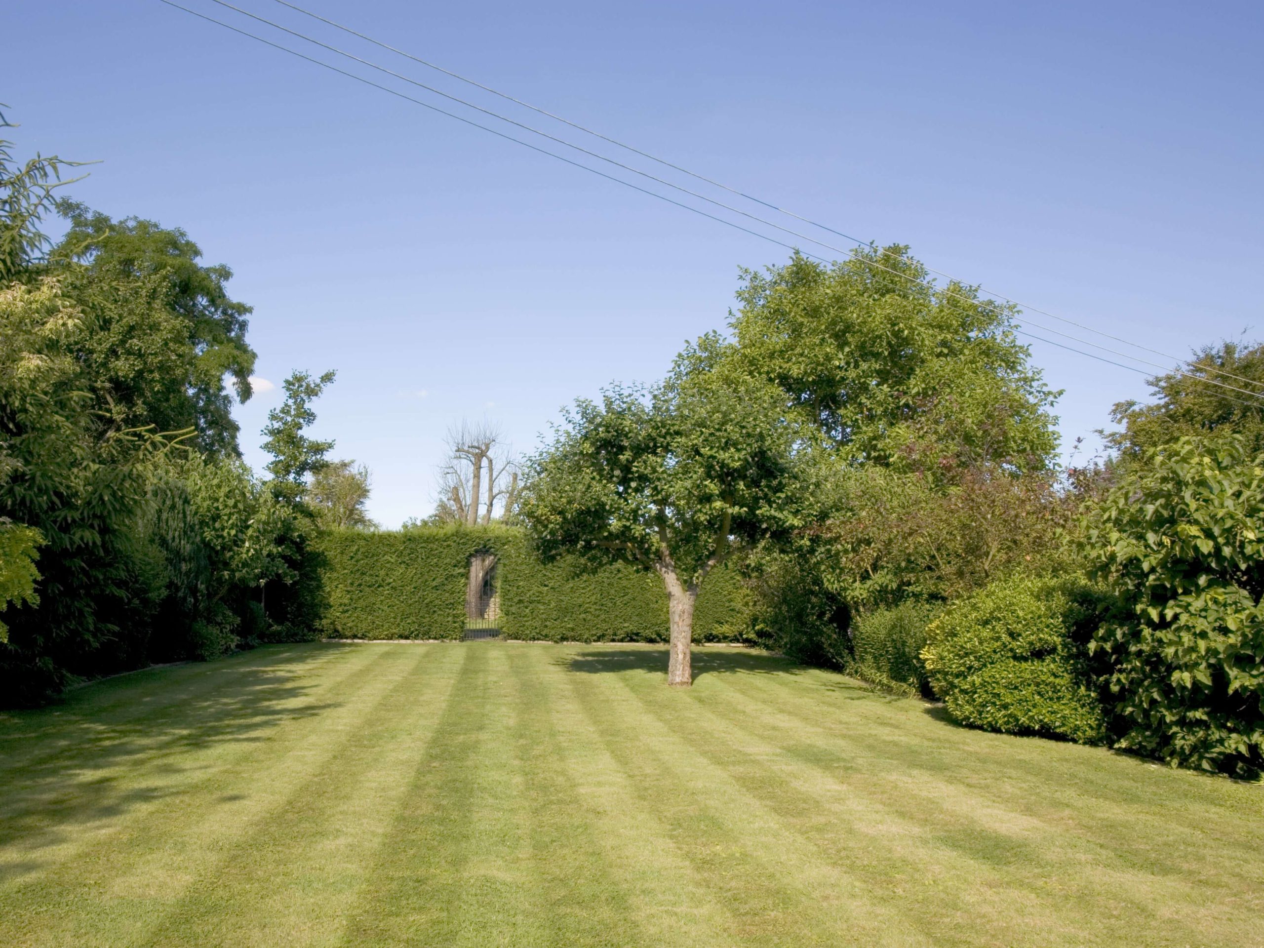 Lawn Mowing/Hedge Trimming Caterham CR3