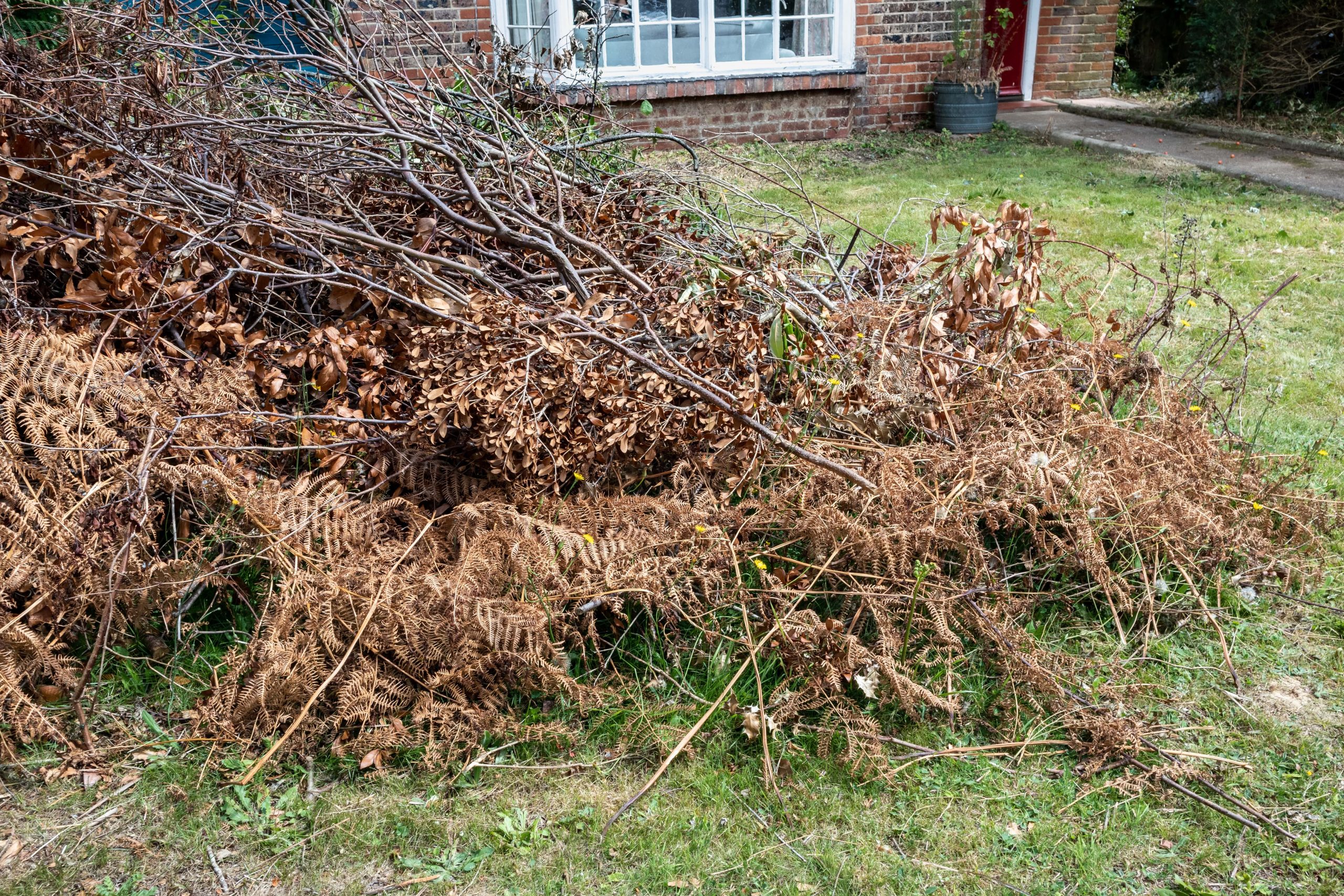 Garden Clearance Caterham CR3