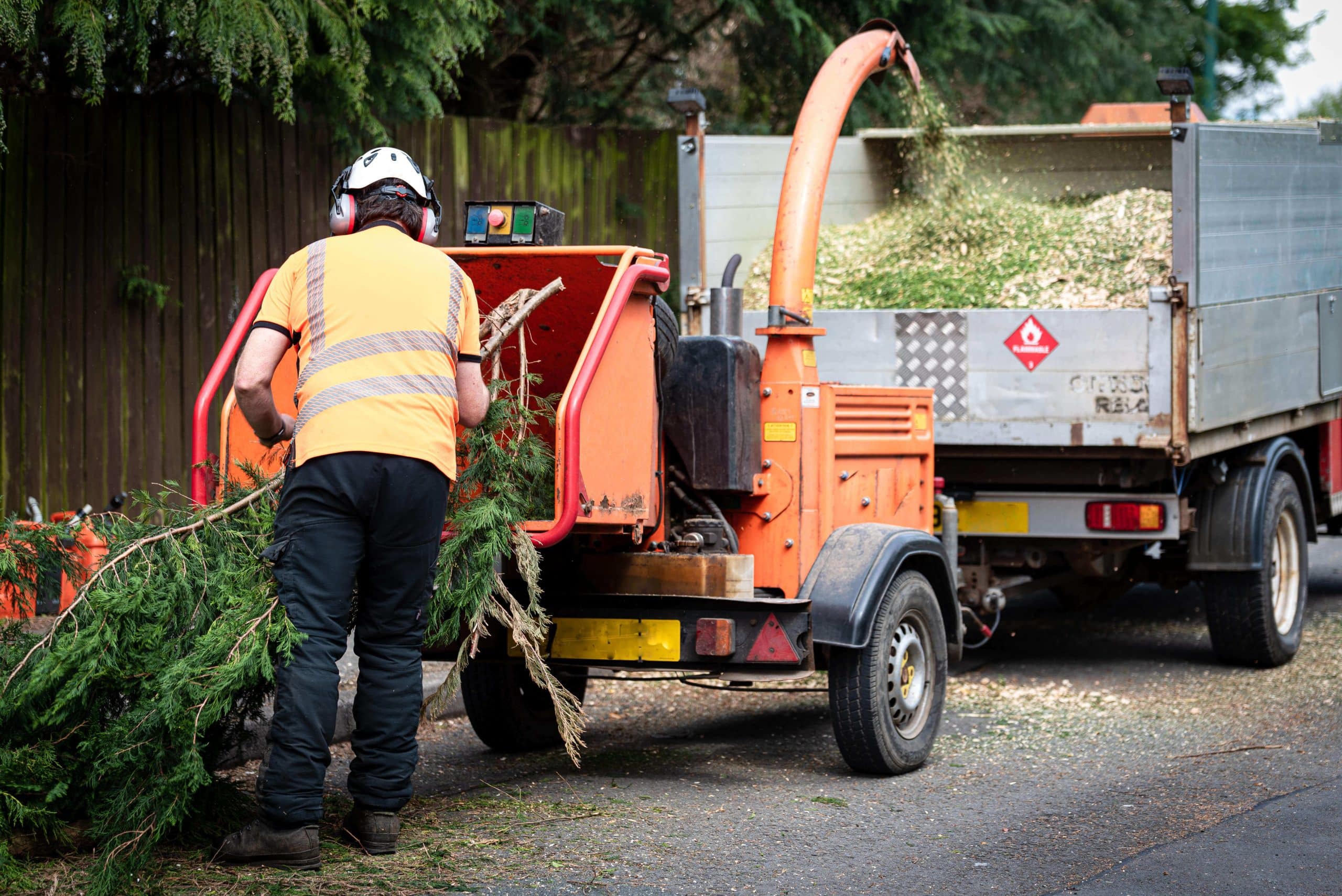 Tree Stump Grinding/Removal Caterham CR3